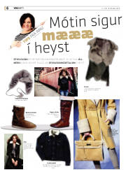 Síða 6