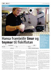 Síða 14