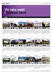 Síða 22