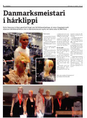 Síða 8