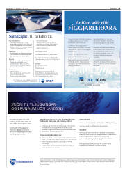 Síða 11