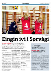 Síða 20