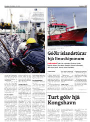 Síða 25