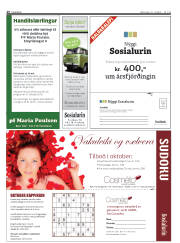 Síða 26