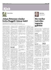 Síða 29