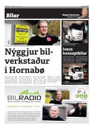 Síða 31