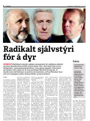 Síða 6