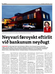 Síða 8