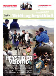 Síða 15