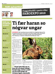 Síða 16