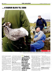 Síða 20