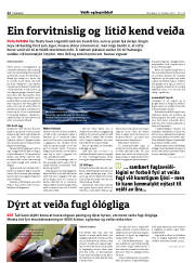 Síða 22