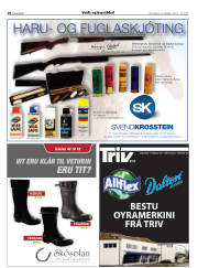 Síða 28