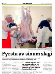 Síða 30