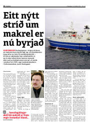Síða 14