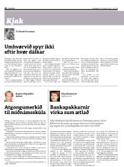 Síða 20