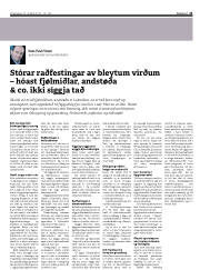Síða 21