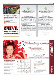 Síða 33