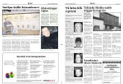 Síða 3