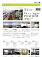 Síða 21