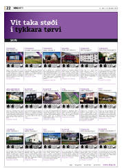 Síða 22