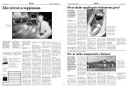 Síða 5