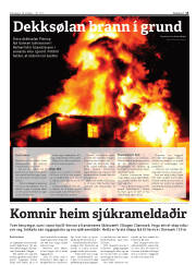 Síða 13