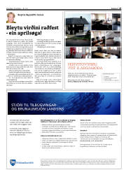 Síða 27