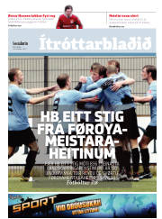 Síða 15