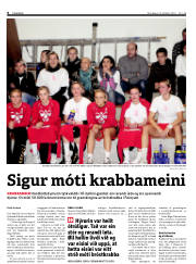 Síða 6
