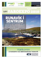 Síða 15