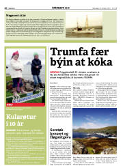 Síða 20