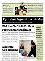 Síða 29