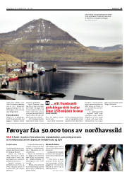 Síða 11