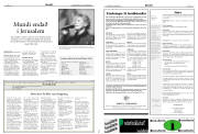 Síða 17