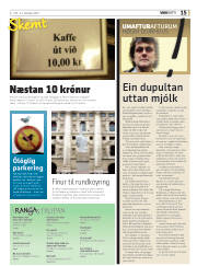 Síða 15