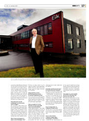Síða 17
