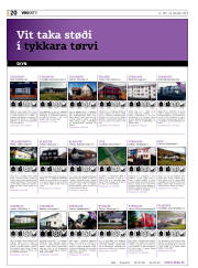 Síða 20