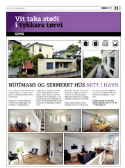 Síða 21