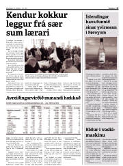 Síða 13