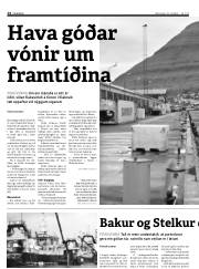 Síða 14