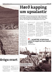 Síða 15