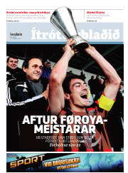 Síða 17