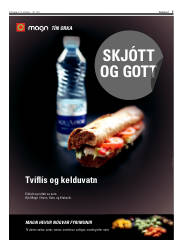 Síða 7