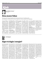 Síða 33