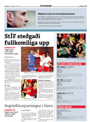 Síða 19