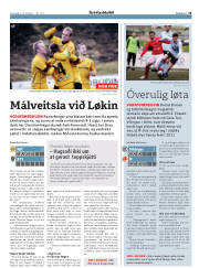 Síða 25