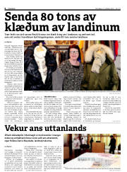 Síða 6