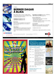 Síða 7