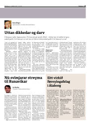 Síða 15